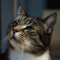 Testbild-17-Quadratisch